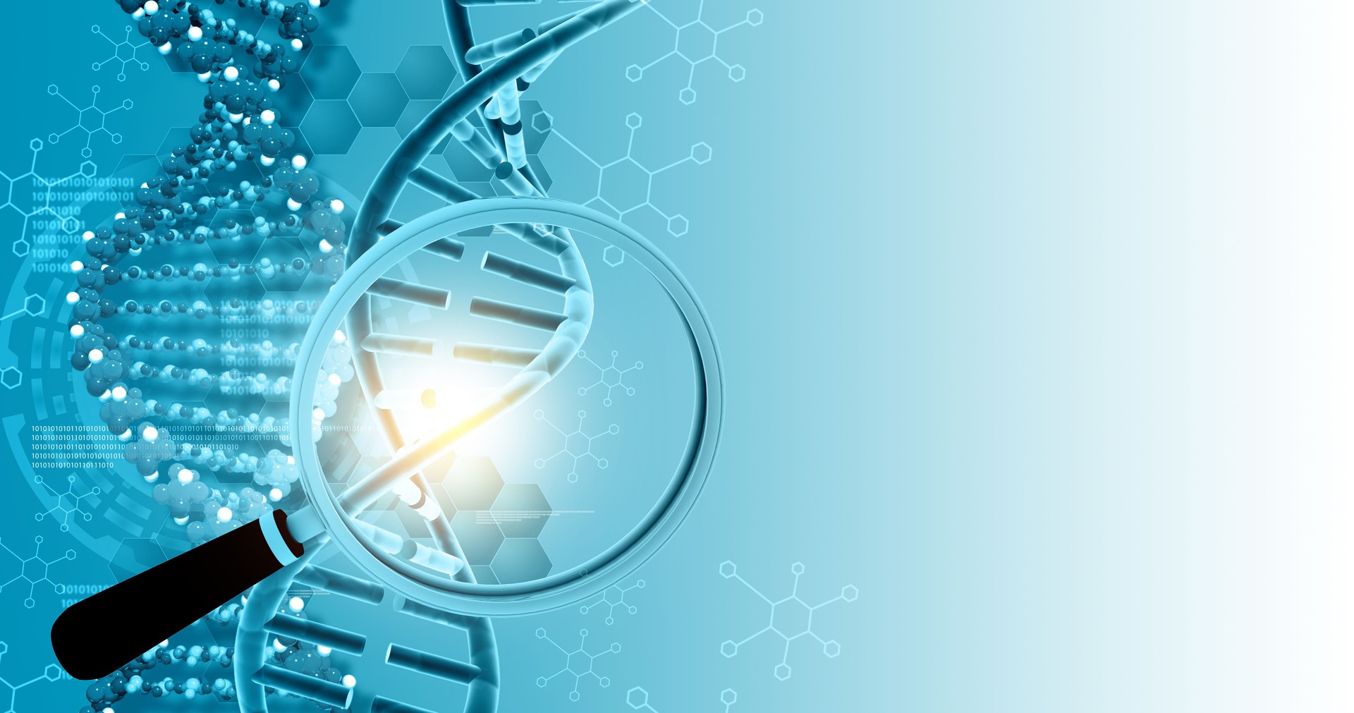 DNA structure, DNA strands with magnifying glass